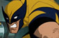 Wolverine Kayor